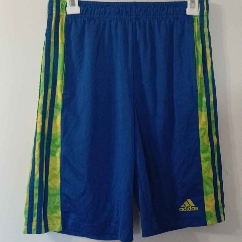 Adidas Blue and Green Athletic Shorts